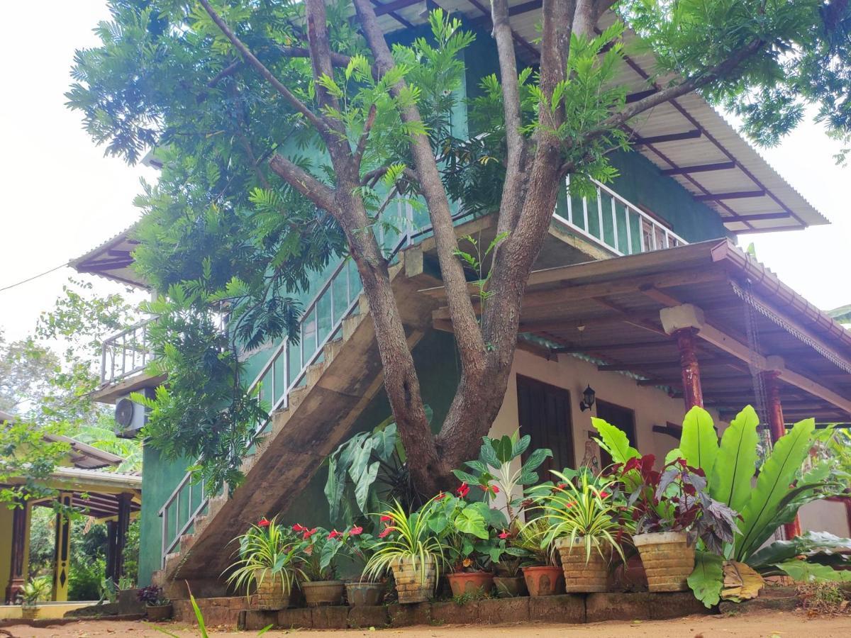 Jaana Guest Hotel Sigiriya Exterior foto