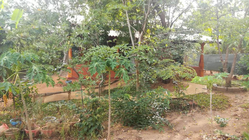 Jaana Guest Hotel Sigiriya Exterior foto